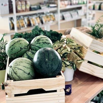 Ivy de Land Natural Shop